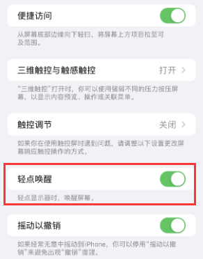 囊谦苹果授权维修站分享iPhone轻点无法唤醒怎么办