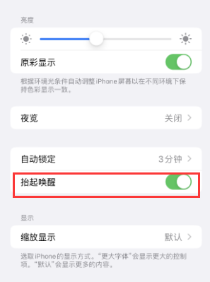 囊谦苹果授权维修站分享iPhone轻点无法唤醒怎么办