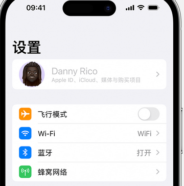 囊谦appleID维修服务iPhone设置中Apple ID显示为灰色无法使用