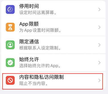 囊谦appleID维修服务iPhone设置中Apple ID显示为灰色无法使用