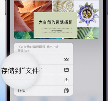 囊谦apple维修中心分享iPhone文件应用中存储和找到下载文件