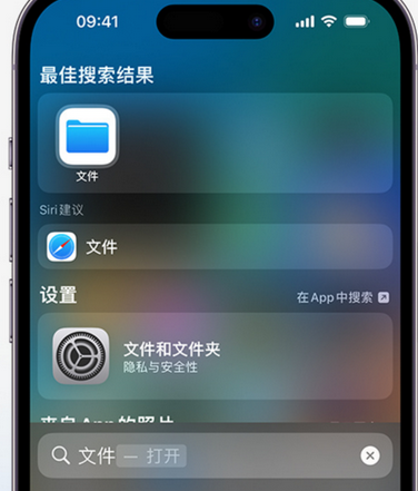 囊谦apple维修中心分享iPhone文件应用中存储和找到下载文件