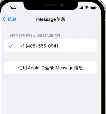 囊谦apple维修iPhone上无法正常发送iMessage信息 