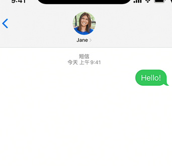 囊谦apple维修iPhone上无法正常发送iMessage信息