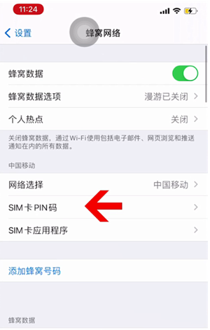 囊谦苹果14维修网分享如何给iPhone14的SIM卡设置密码 