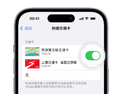 囊谦apple维修点分享iPhone上更换Apple Pay快捷交通卡手绘卡面 