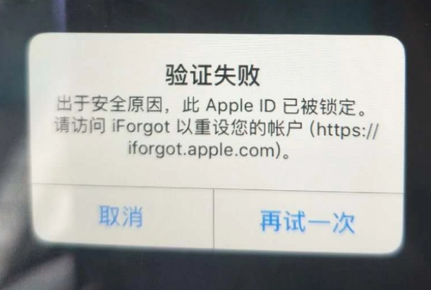 囊谦iPhone维修分享iPhone上正常登录或使用AppleID怎么办 