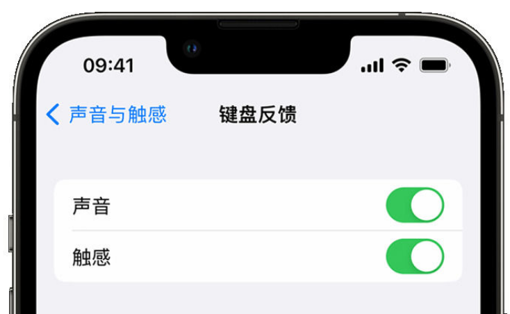 囊谦苹果手机维修分享iPhone 14触感键盘使用方法 