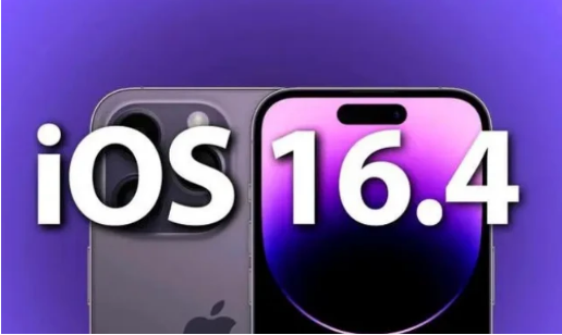 囊谦苹果14维修分享：iPhone14可以升级iOS16.4beta2吗？ 