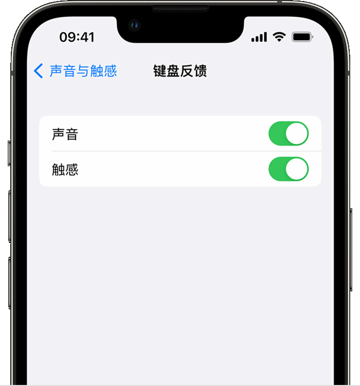 囊谦苹果14维修店分享如何在 iPhone 14 机型中使用触感键盘 