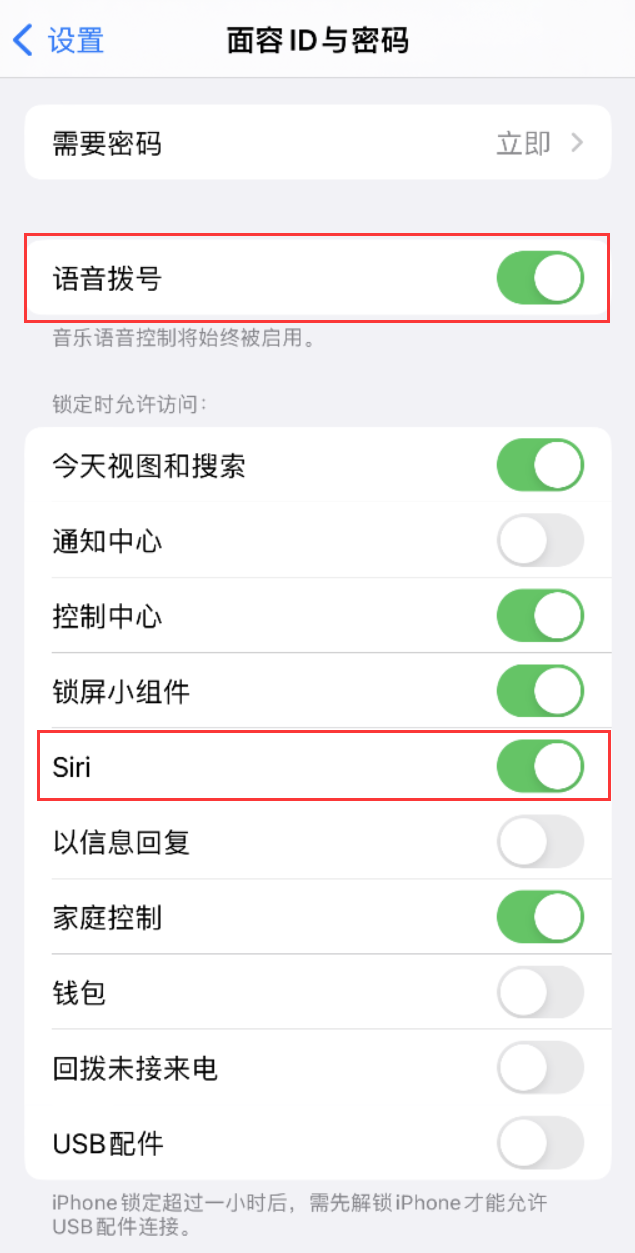 囊谦苹果维修网点分享不解锁 iPhone 的情况下通过 Siri 拨打电话的方法 