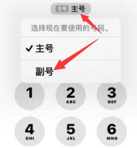 囊谦苹果14维修店分享iPhone 14 Pro Max使用副卡打电话的方法 