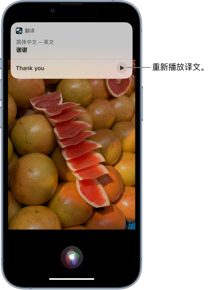 囊谦苹果14维修分享 iPhone 14 机型中使用 Siri：了解 Siri 能帮你做什么 