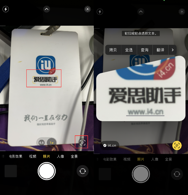 囊谦苹果手机维修分享升级iOS 16后如何通过相机翻译文本 