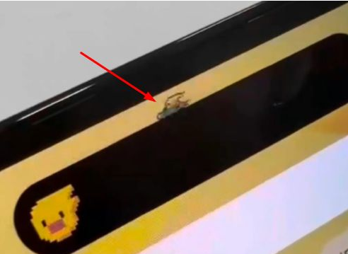 囊谦苹果14维修分享iPhone 14 Pro Max灵动岛怎么养宠物 