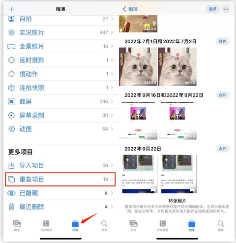 囊谦苹果手机维修分享iOS 16 中相册重复项目功能使用方法 