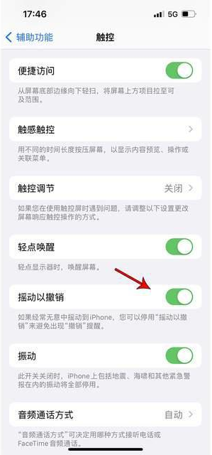 囊谦苹果手机维修分享iPhone手机如何设置摇一摇删除文字 