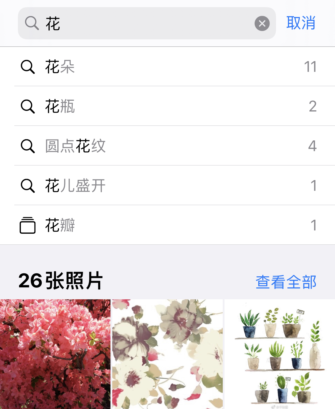 囊谦苹果手机维修分享iPhone 小技巧 
